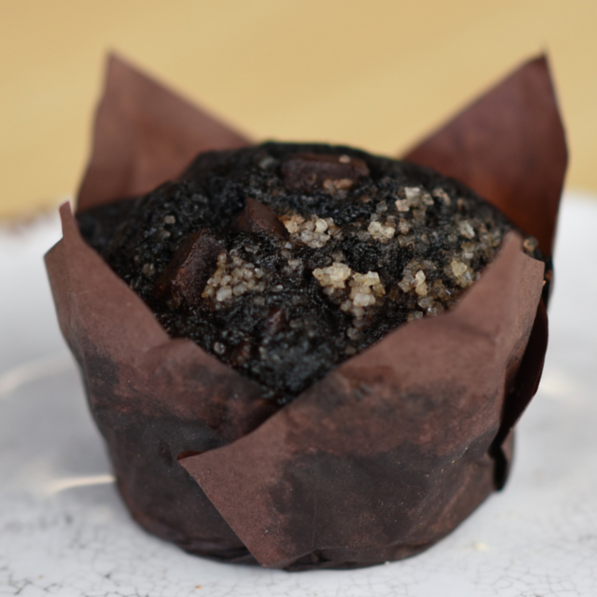 Chocolate Muffin