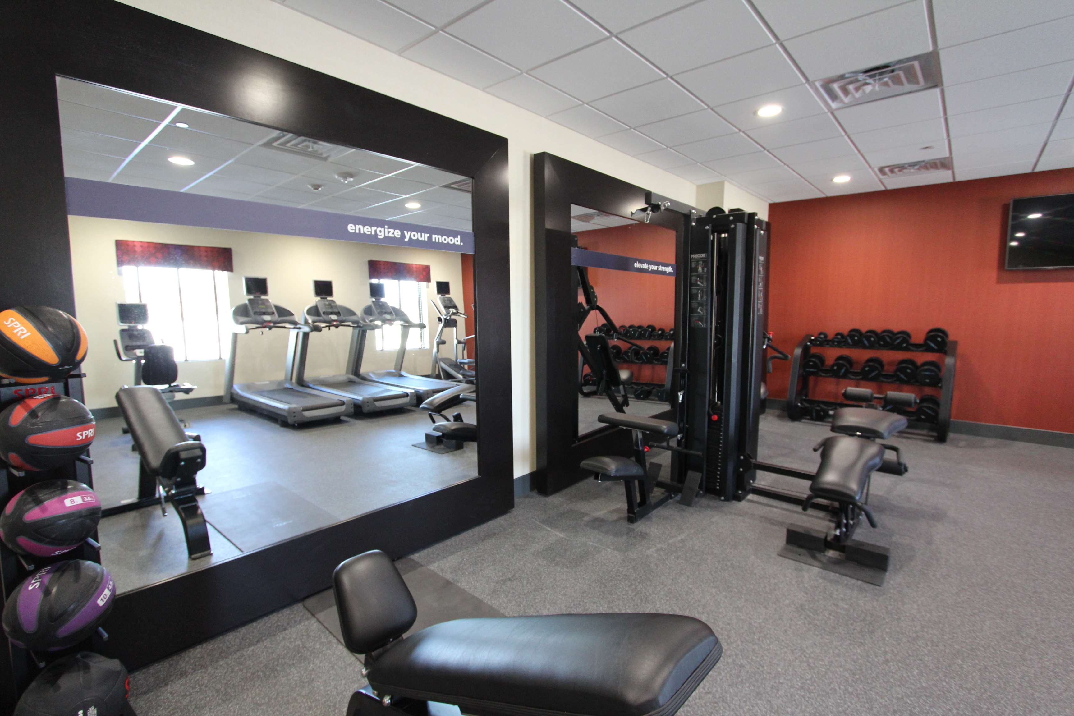 Health club  fitness center  gym
