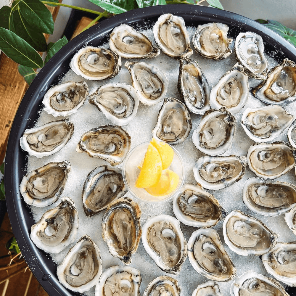 Shucked Oysters