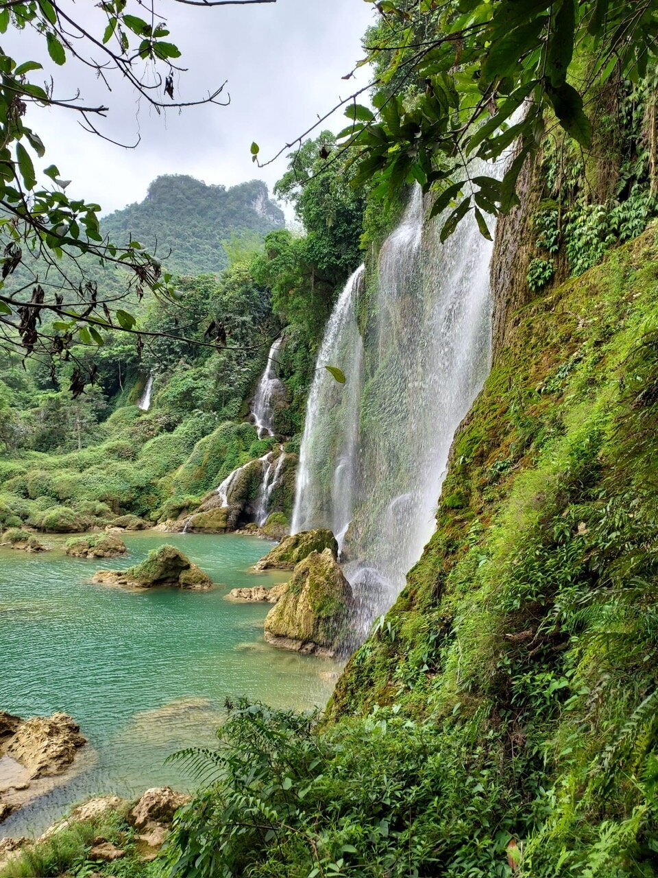 Miniature de la galerie