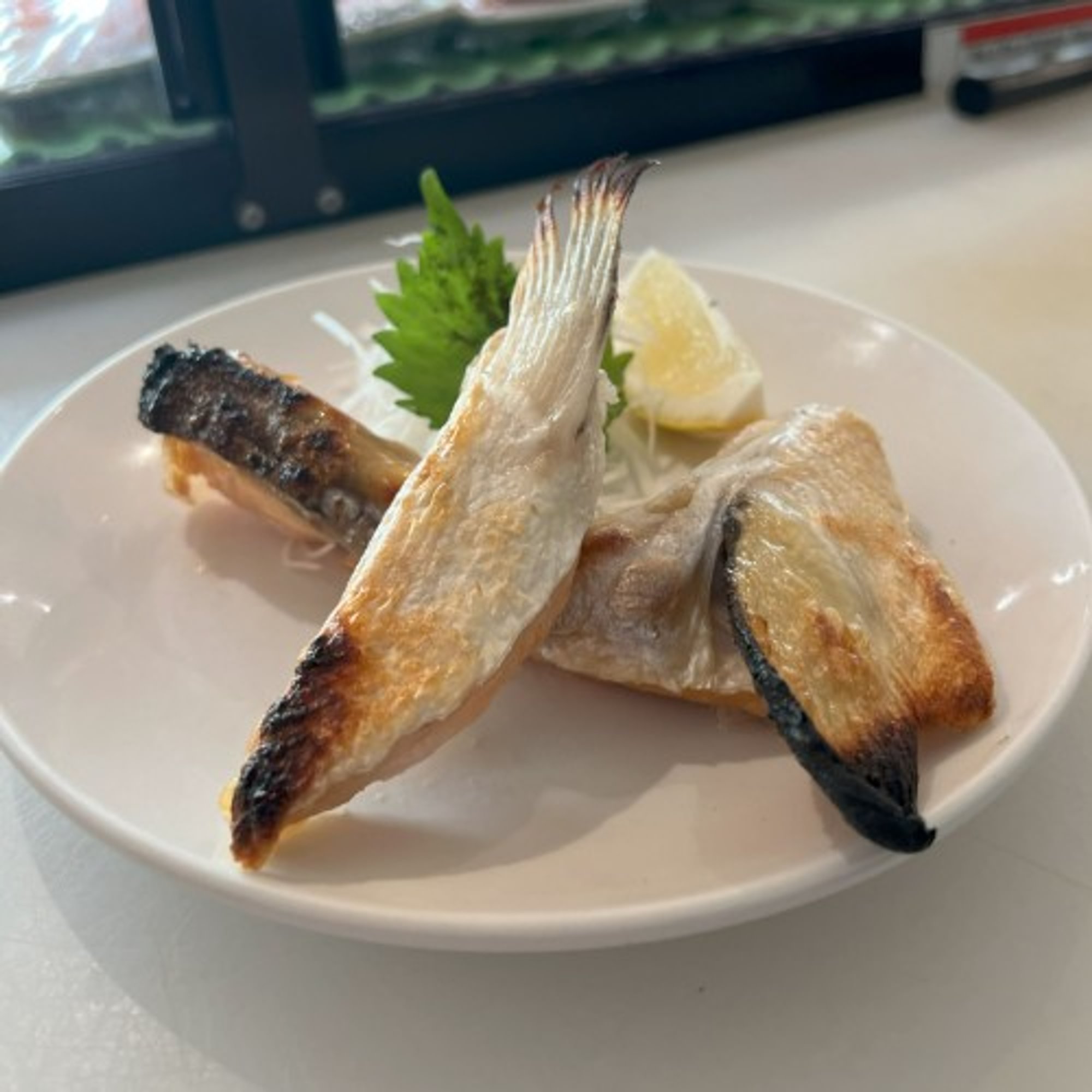Salmon Collar