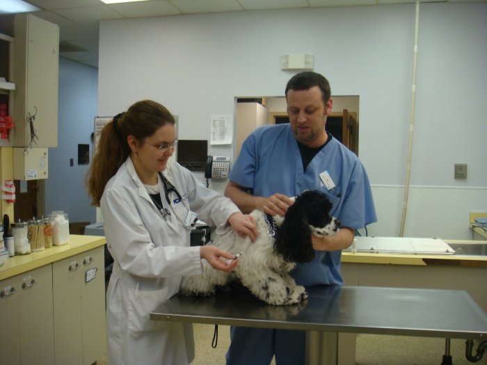 VCA Misener-Holley Animal Hospital Photo