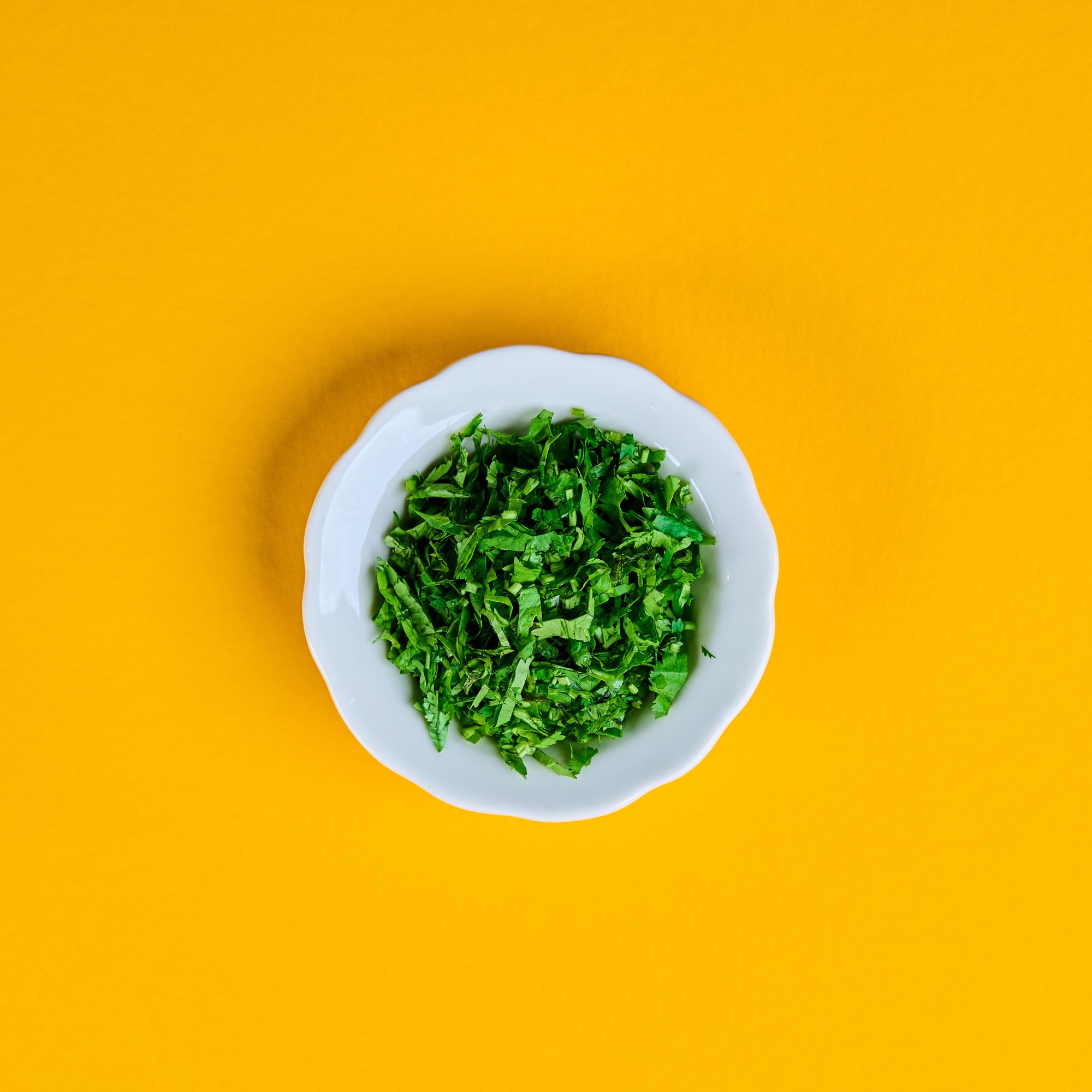 Cilantro