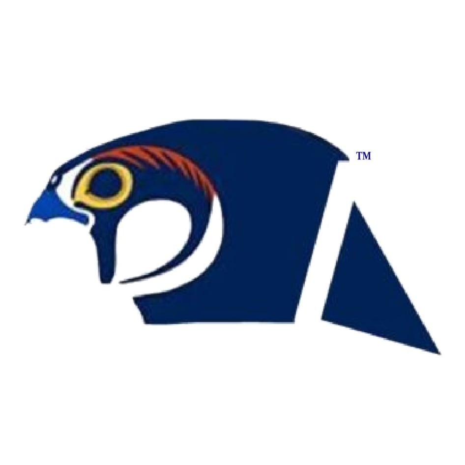 Amarna Consulting LLC