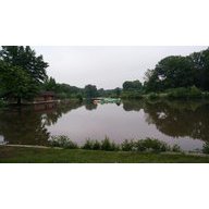 Roselle Chamber of Commerce
