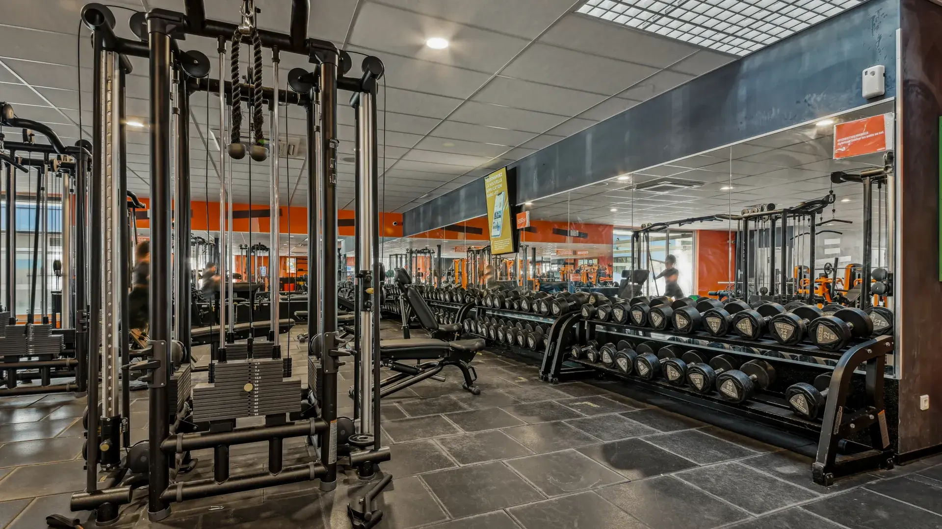 Miniature de la galerie