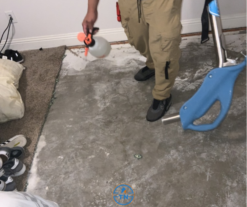 True North Restoration of Denver Image