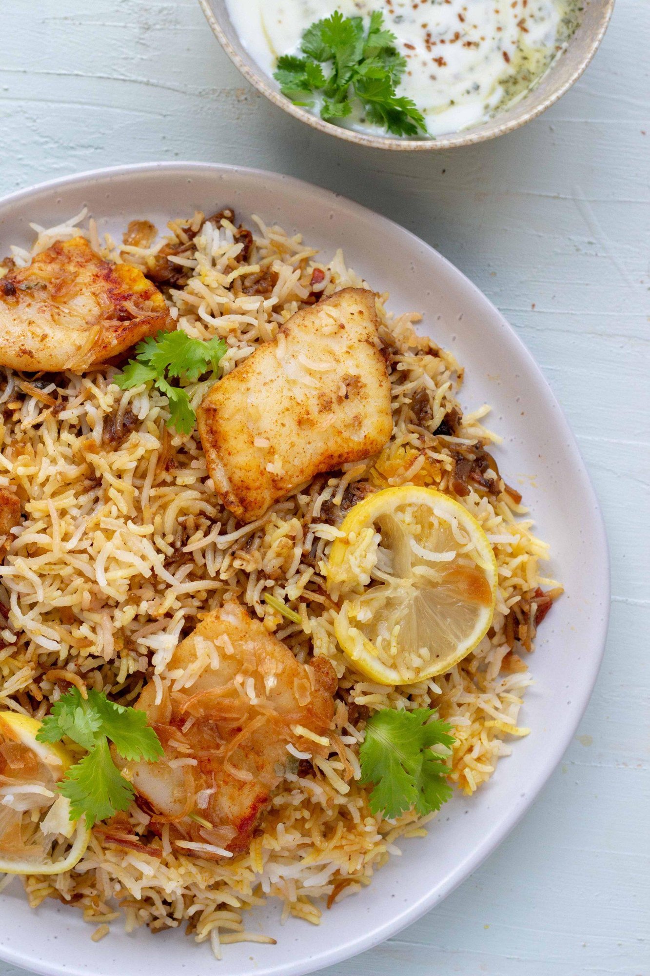 Family Apollo Fish Biryani