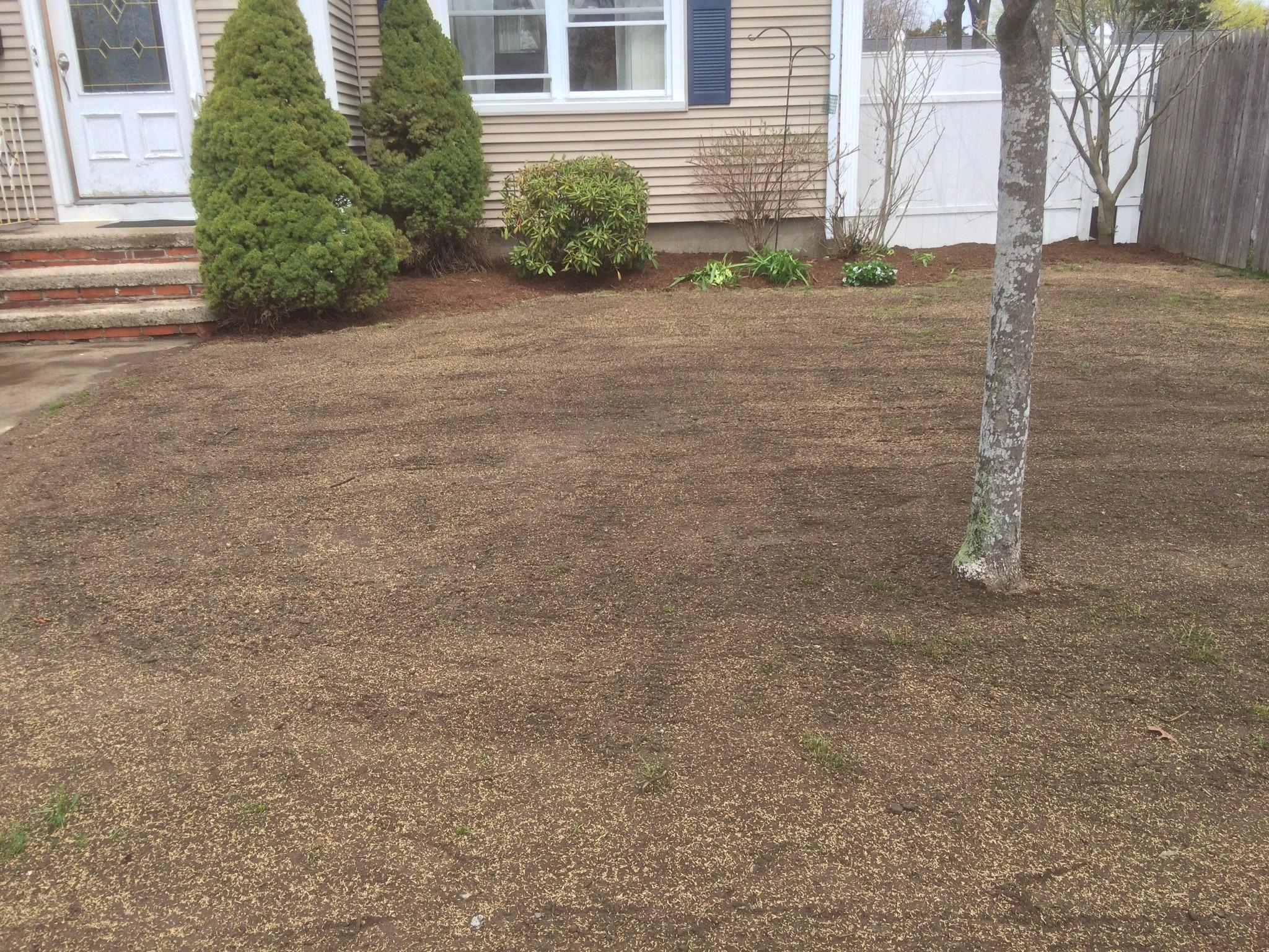 Mike's Landscaping Image