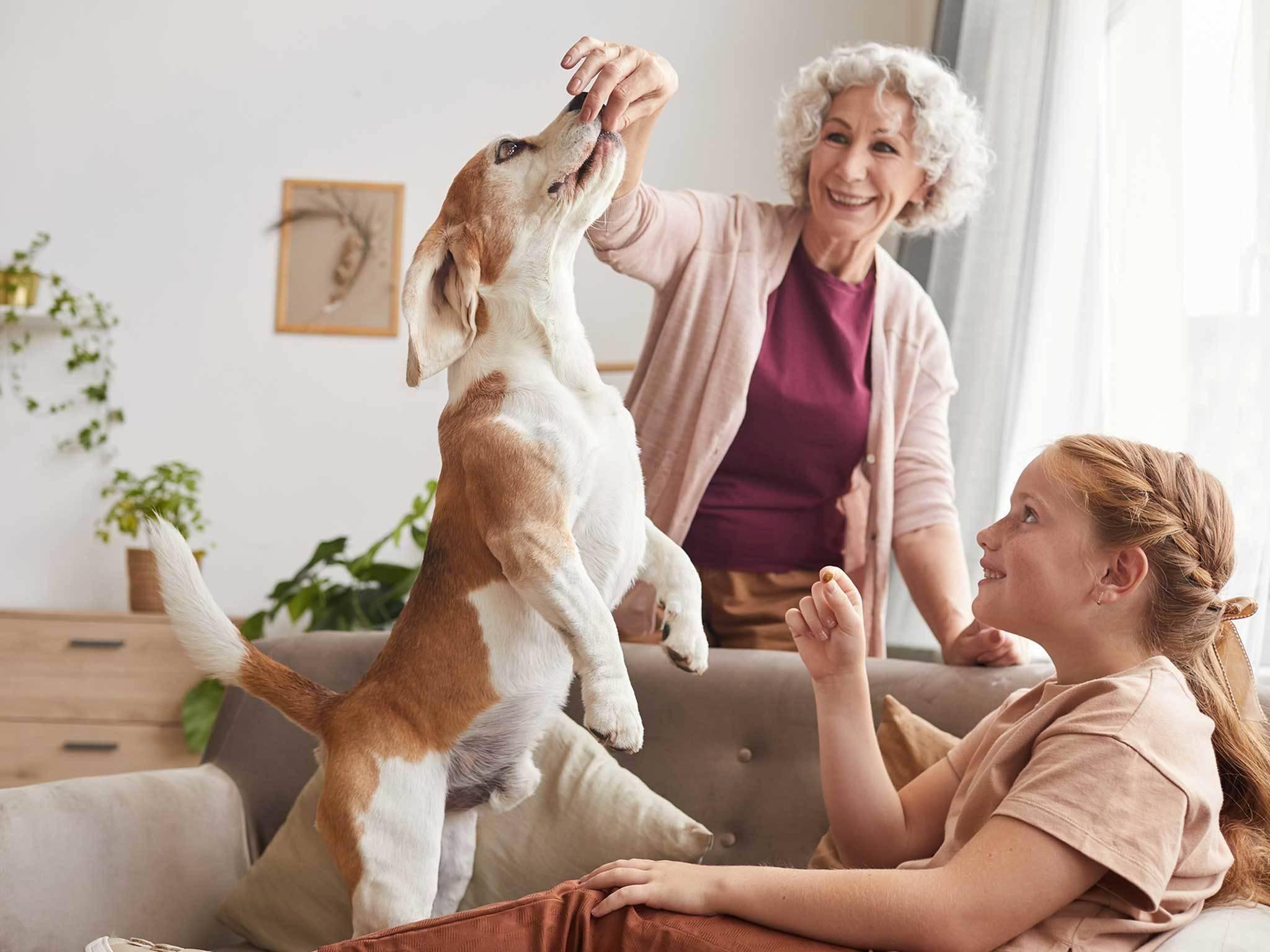 Advenir at Wynstone Image