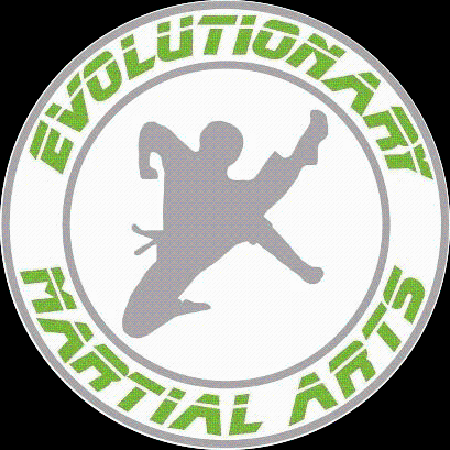 Evolutionary Martial Arts