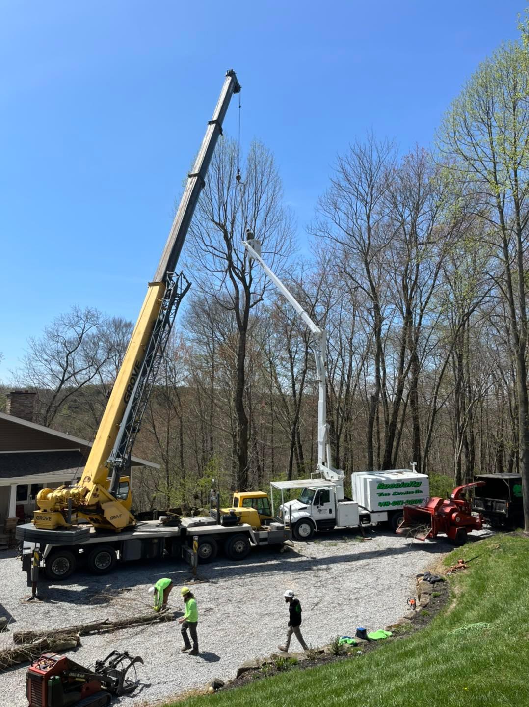 Specialty Tree & Bucket Service Image