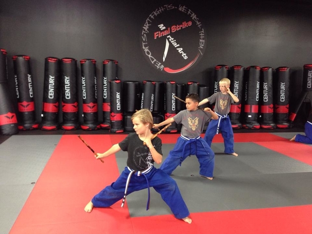 Images Final Strike Martial Arts