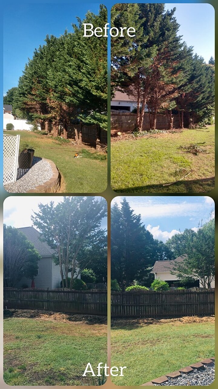 ALPHA TREE CARE LLC Image