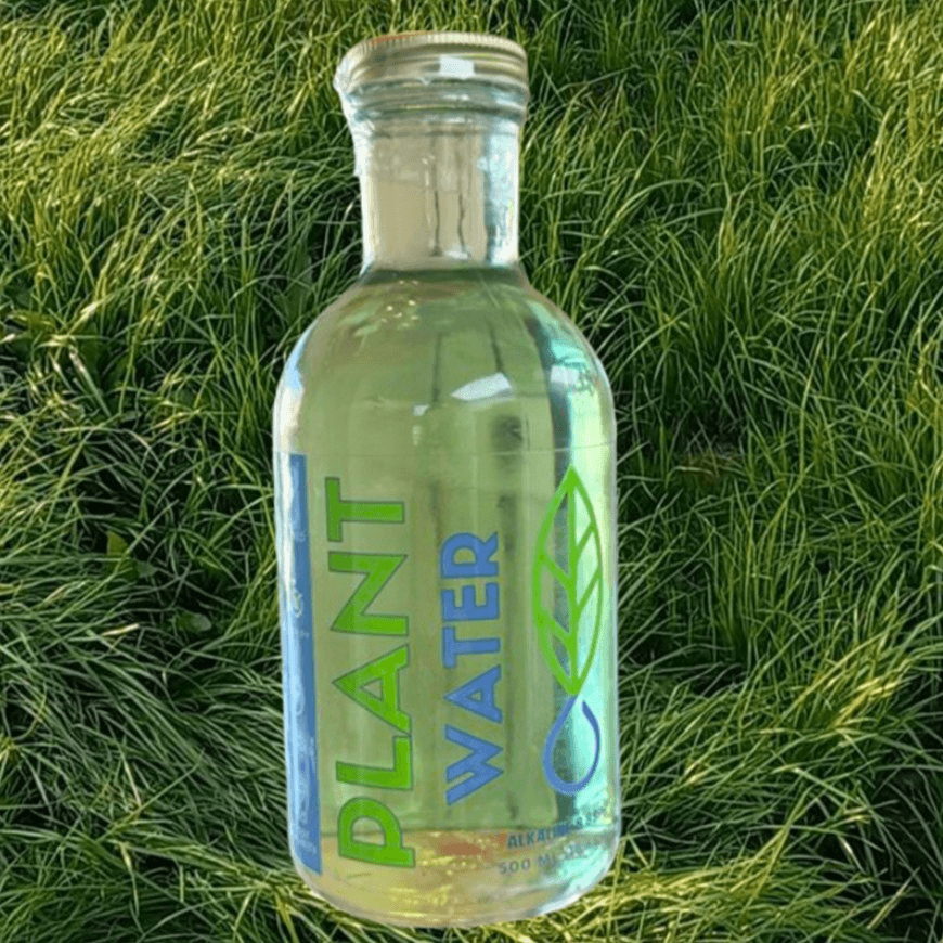 Plant Water