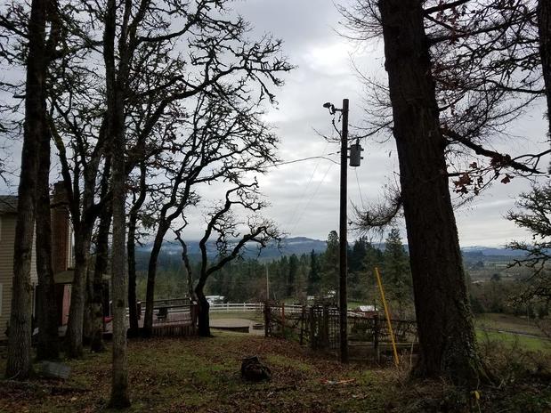 Images Tim's Tree Removal And Services LLC