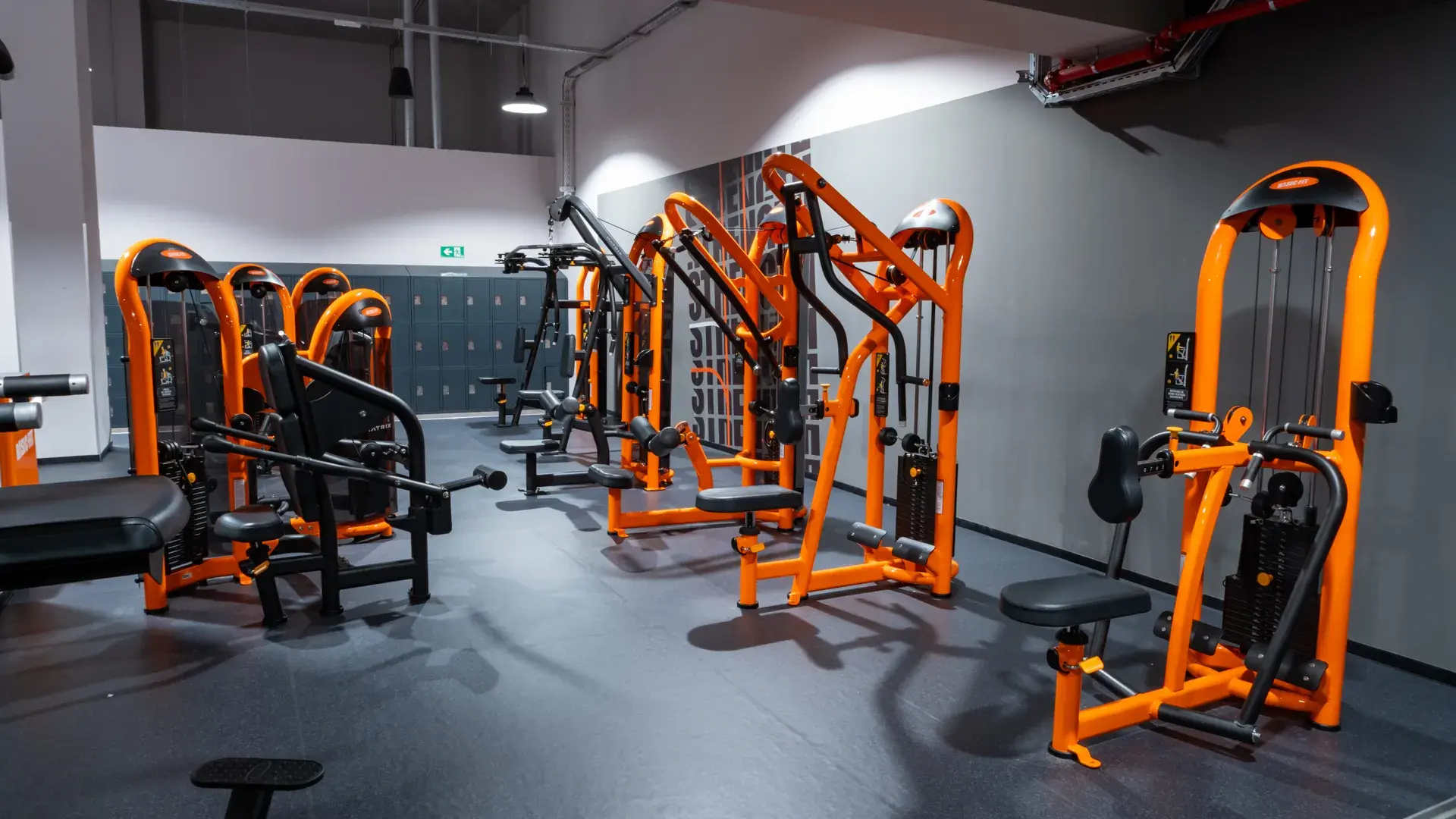 Galería de imágenes