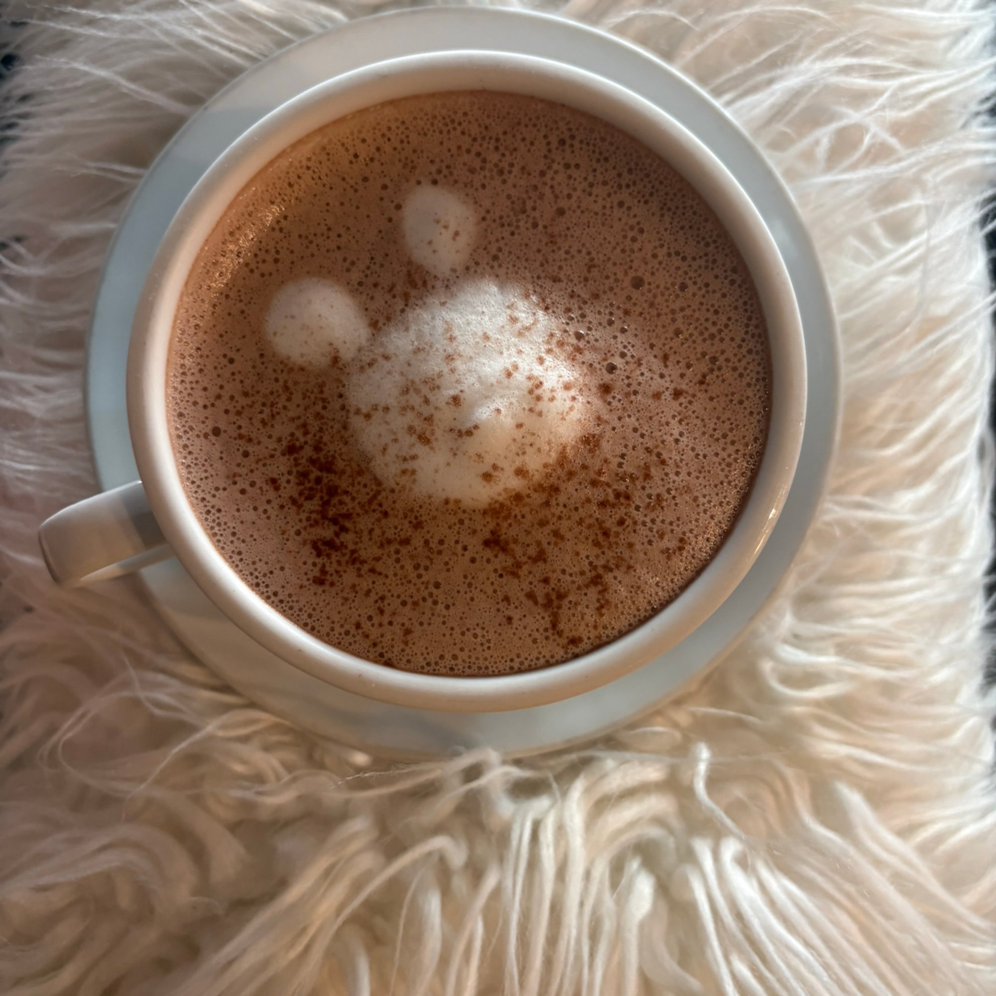 Hot Chocolate