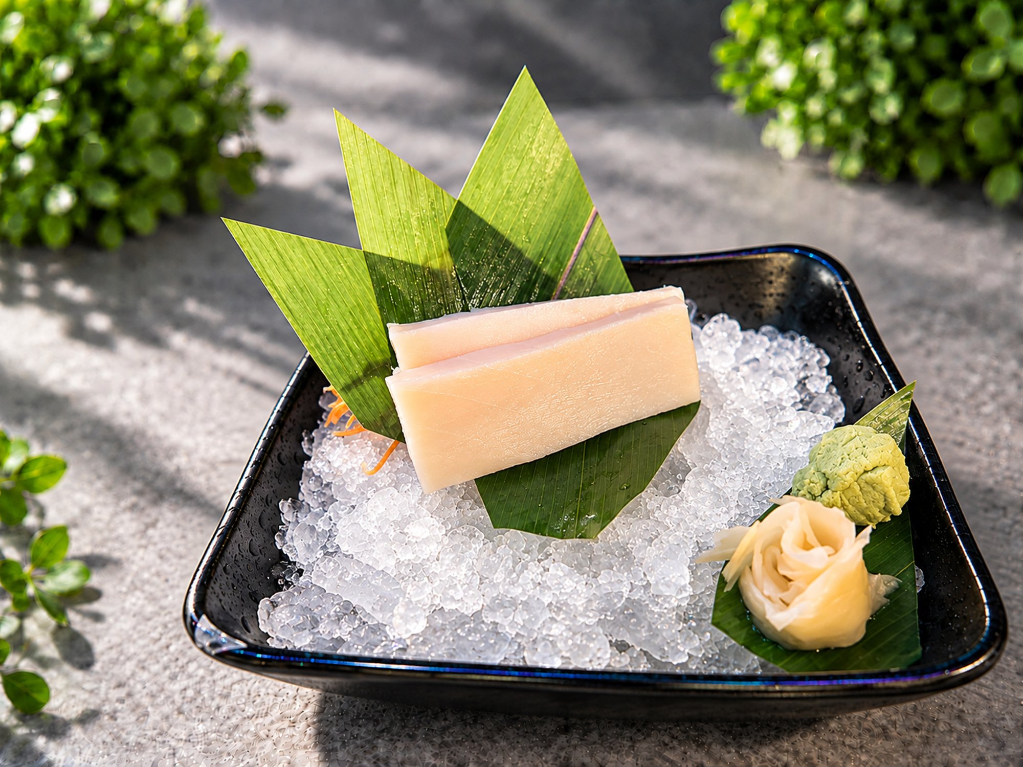 Escolar Sashimi
