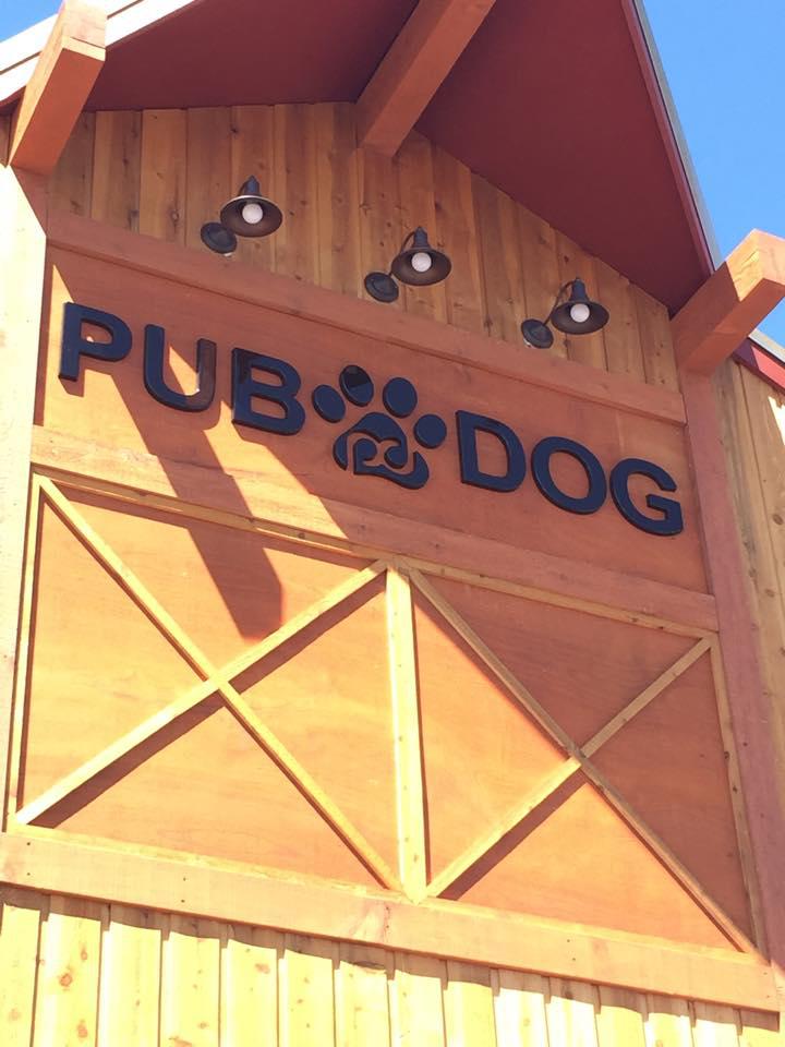 Pub Dog Colorado Photo