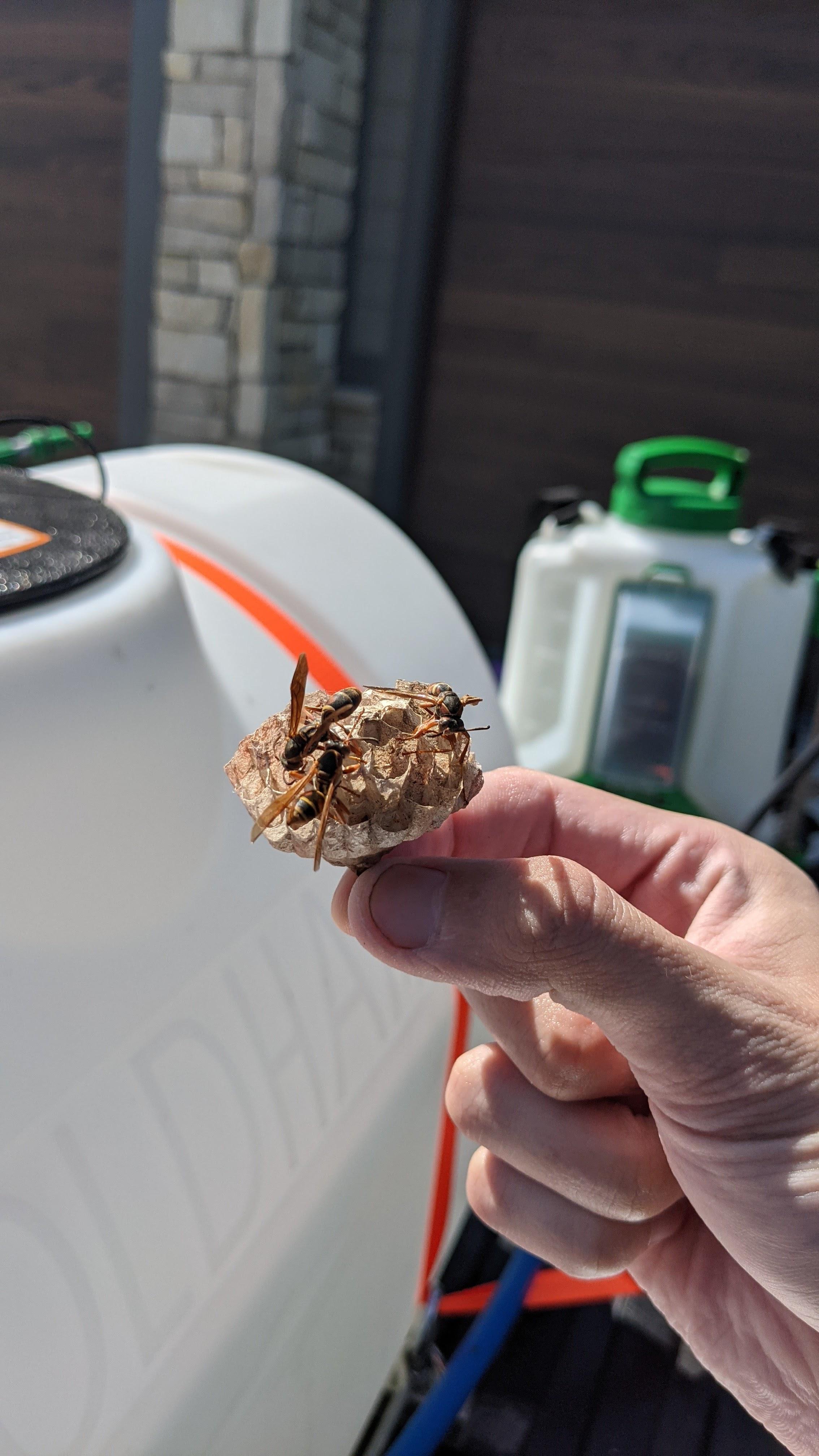 Fenix Pest Control, Inc. Image