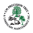 CM Precision Tree and Landscape Maintenance Inc