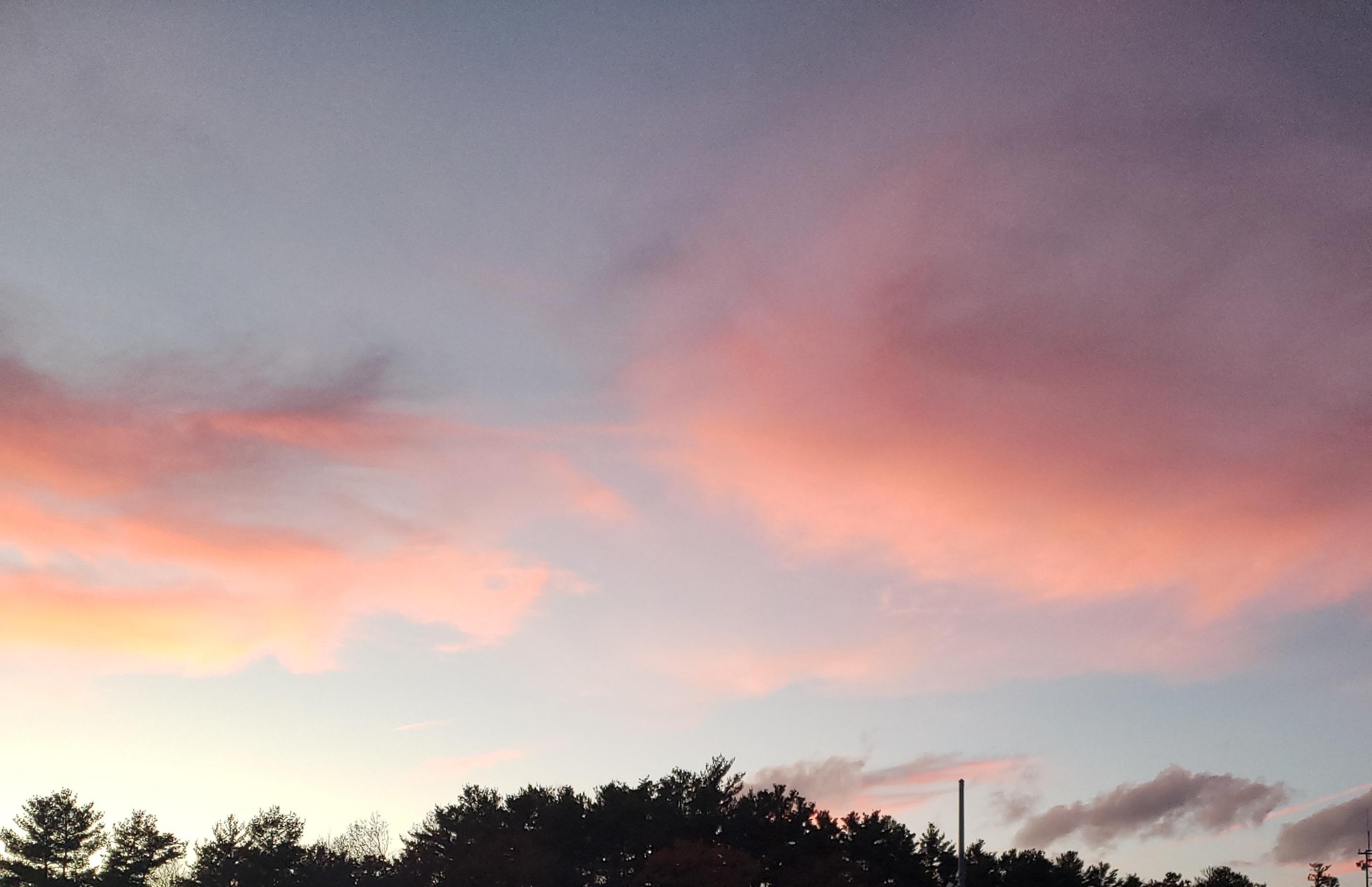 McDonald Tree Service Image