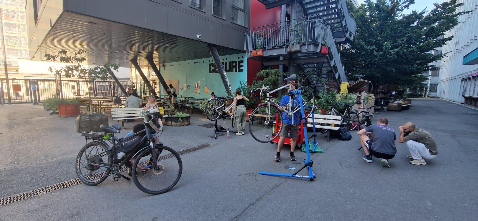 Miniature de la galerie