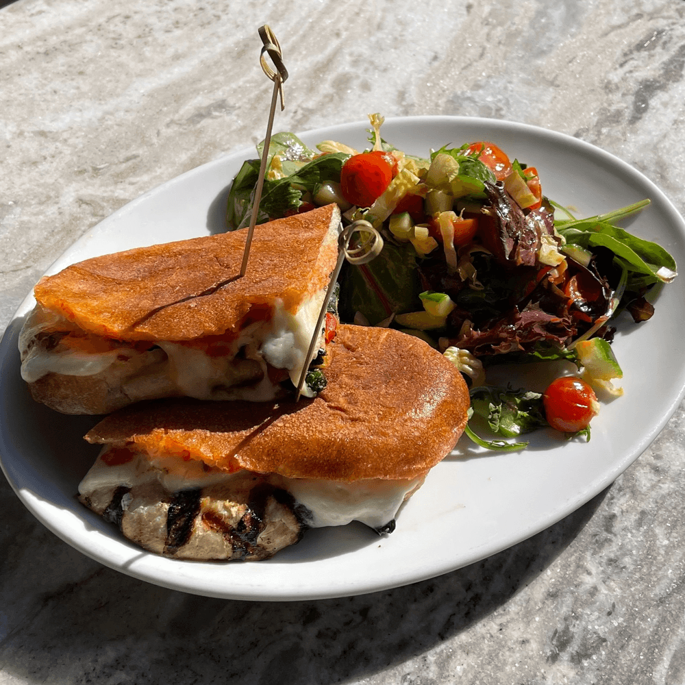 Grilled Chicken and Mozzarella Panini