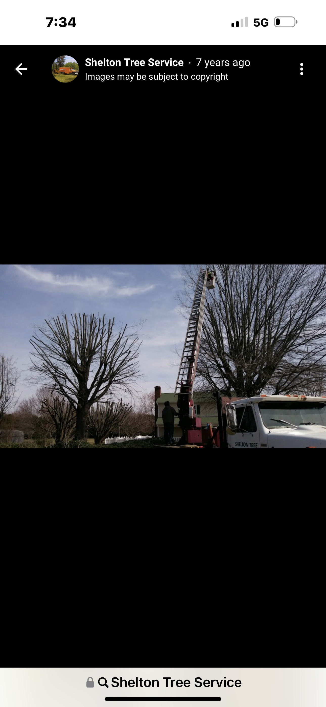 Shelton Tree Service Image
