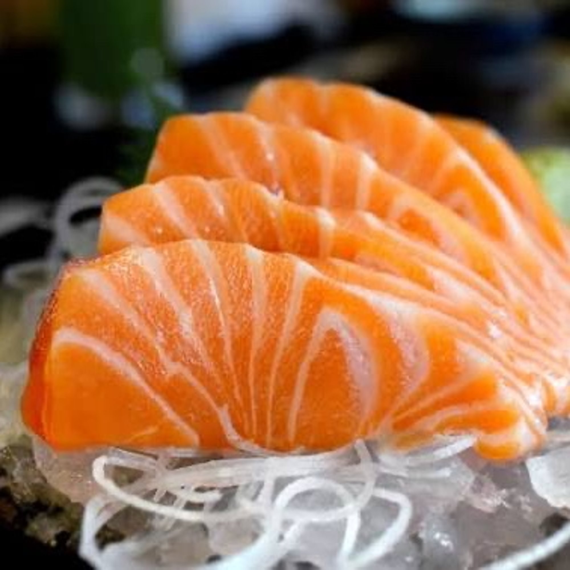 Salmon Sashimi