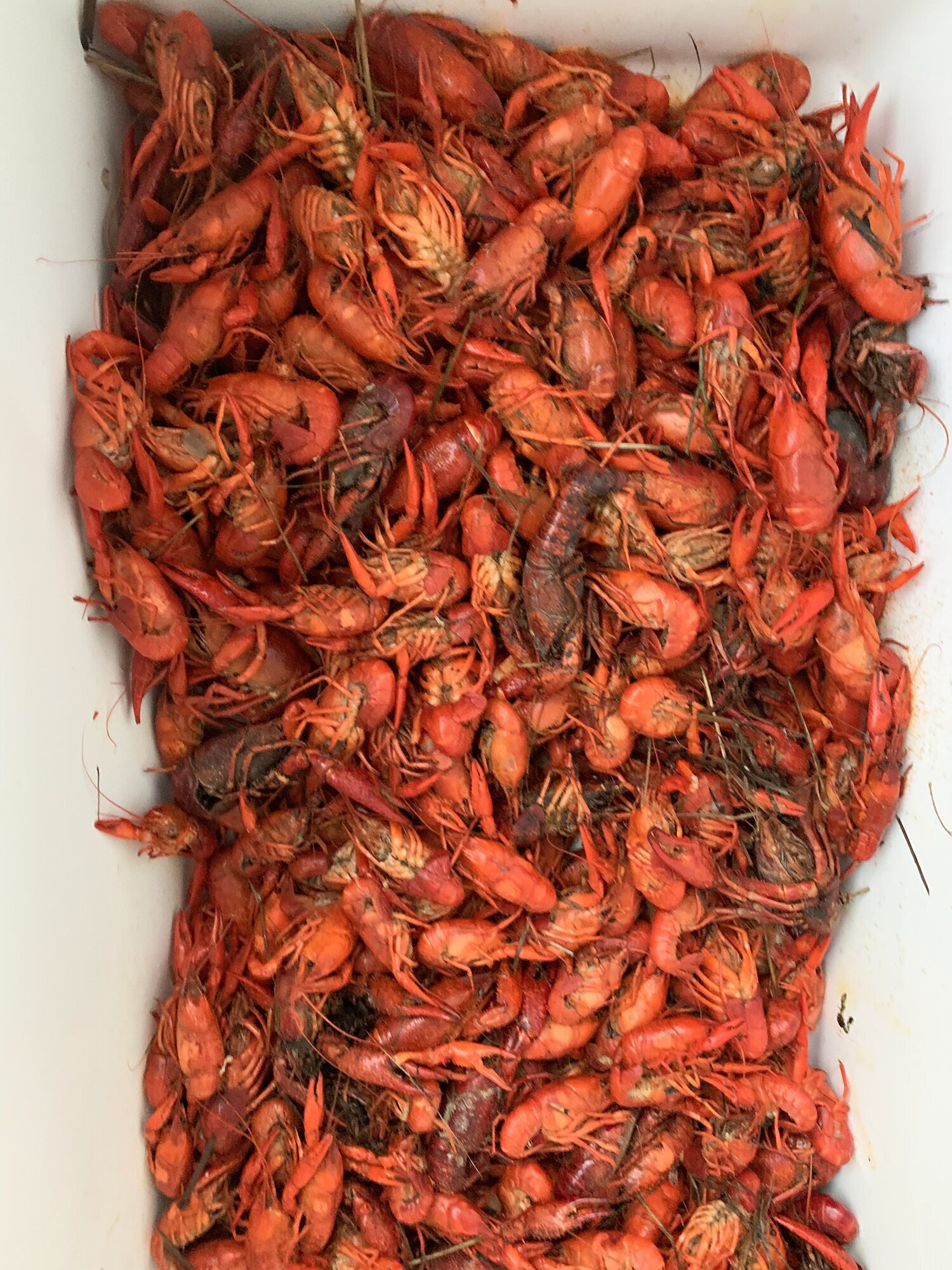 A Taste of New Orleans Image