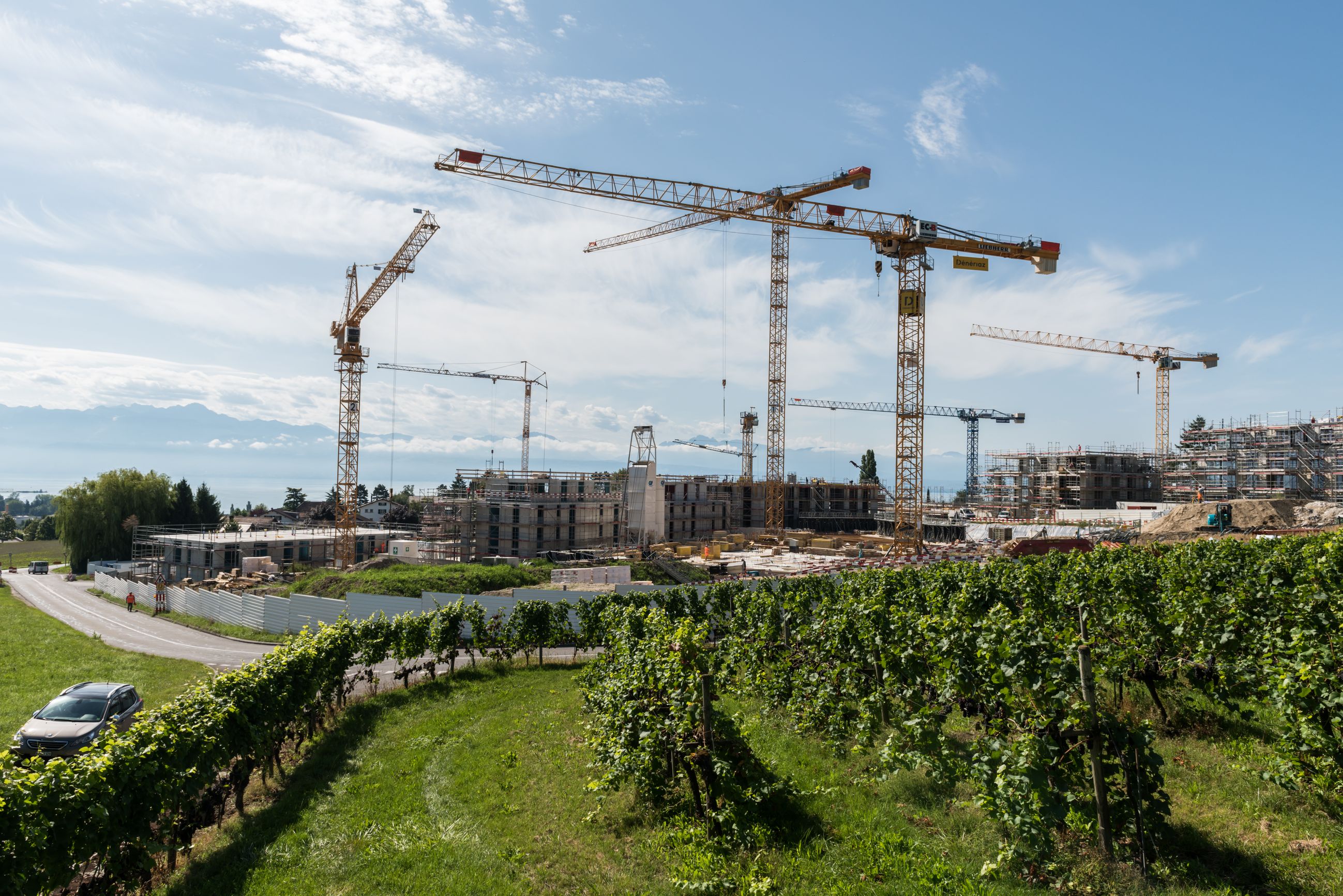 Galerie-Thumbnail