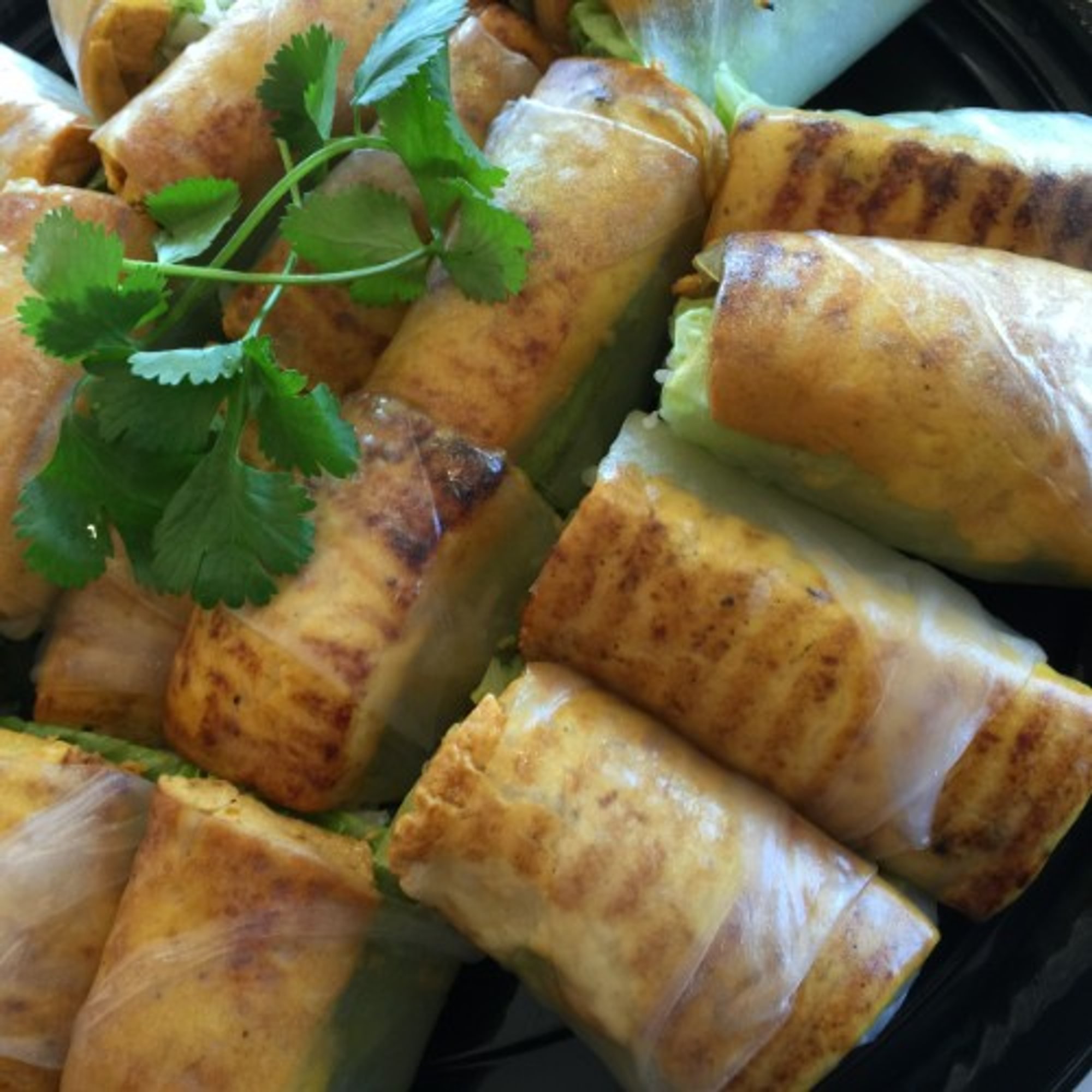 Organic Grilled Tofu Spring Rolls