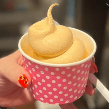 Cup of Ice Cream