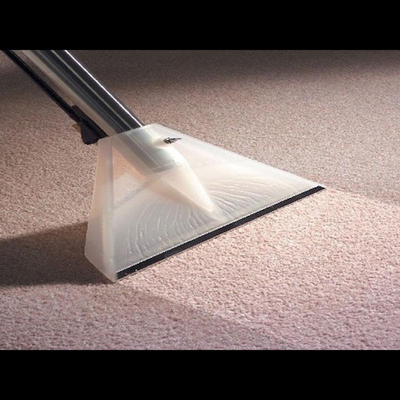 Taylor's Carpet Cleaning