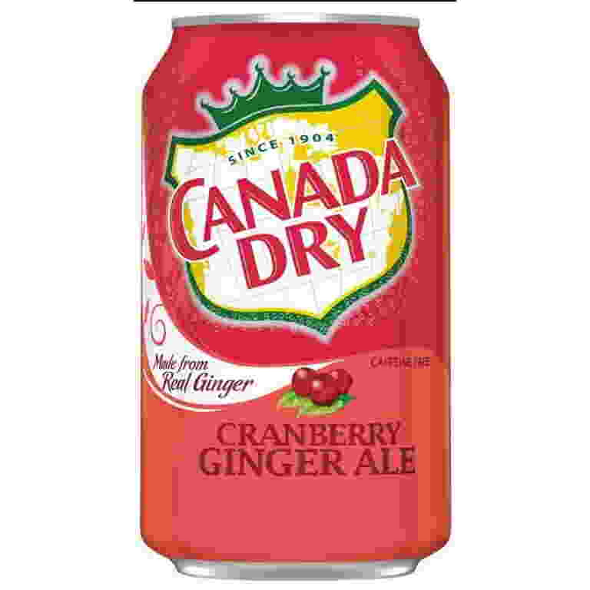 Canada Dry Cranberry Can