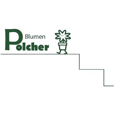 Logo von Blumen Polcher