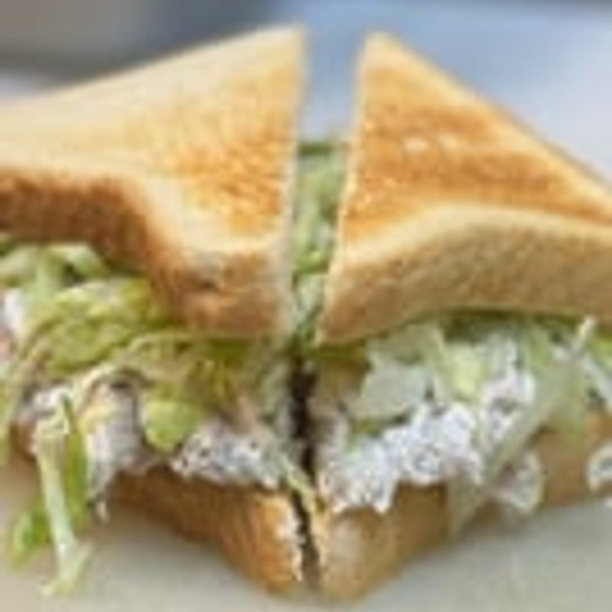 Tuna Sandwich
