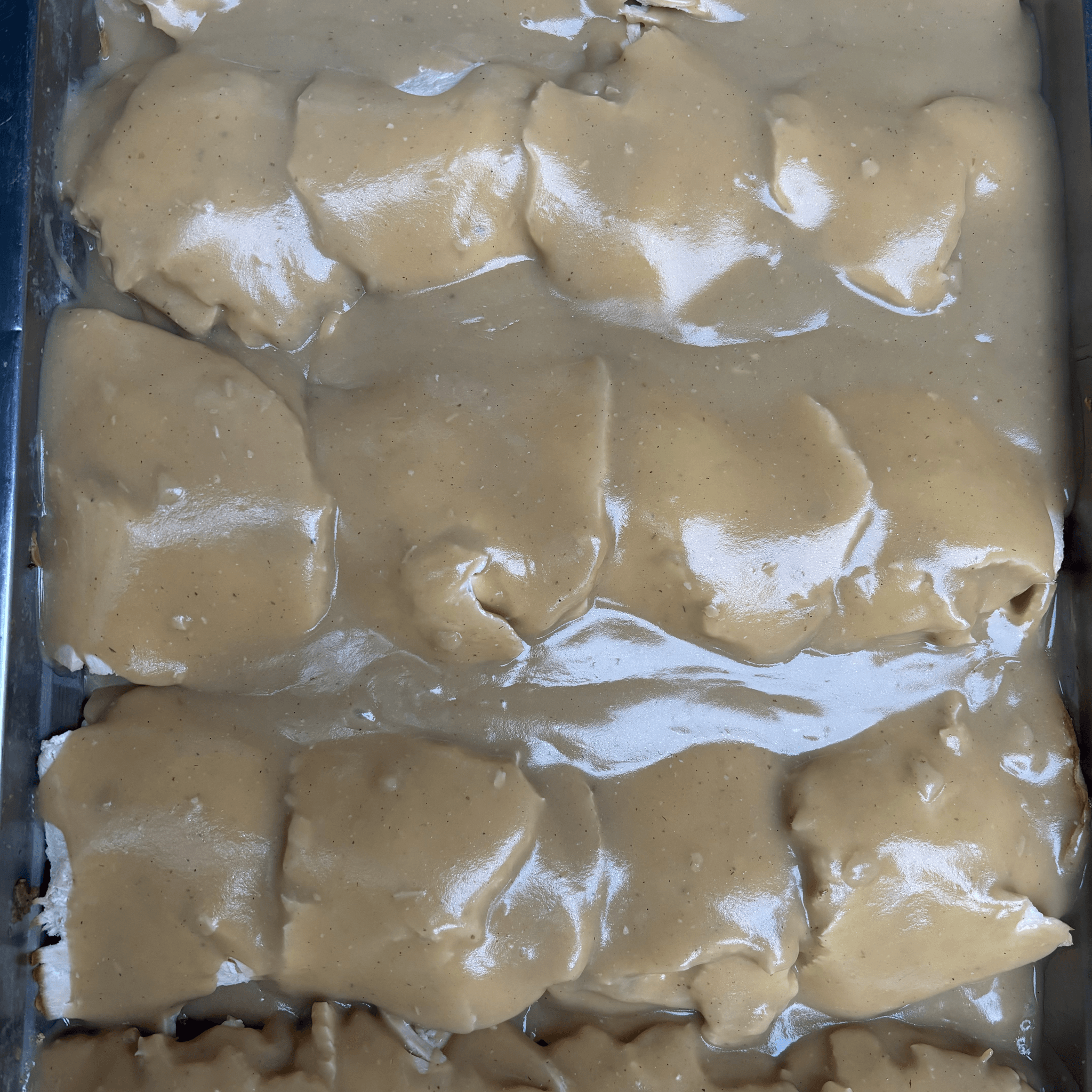 Turkey with Gravy