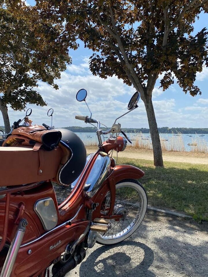 Miniature de la galerie