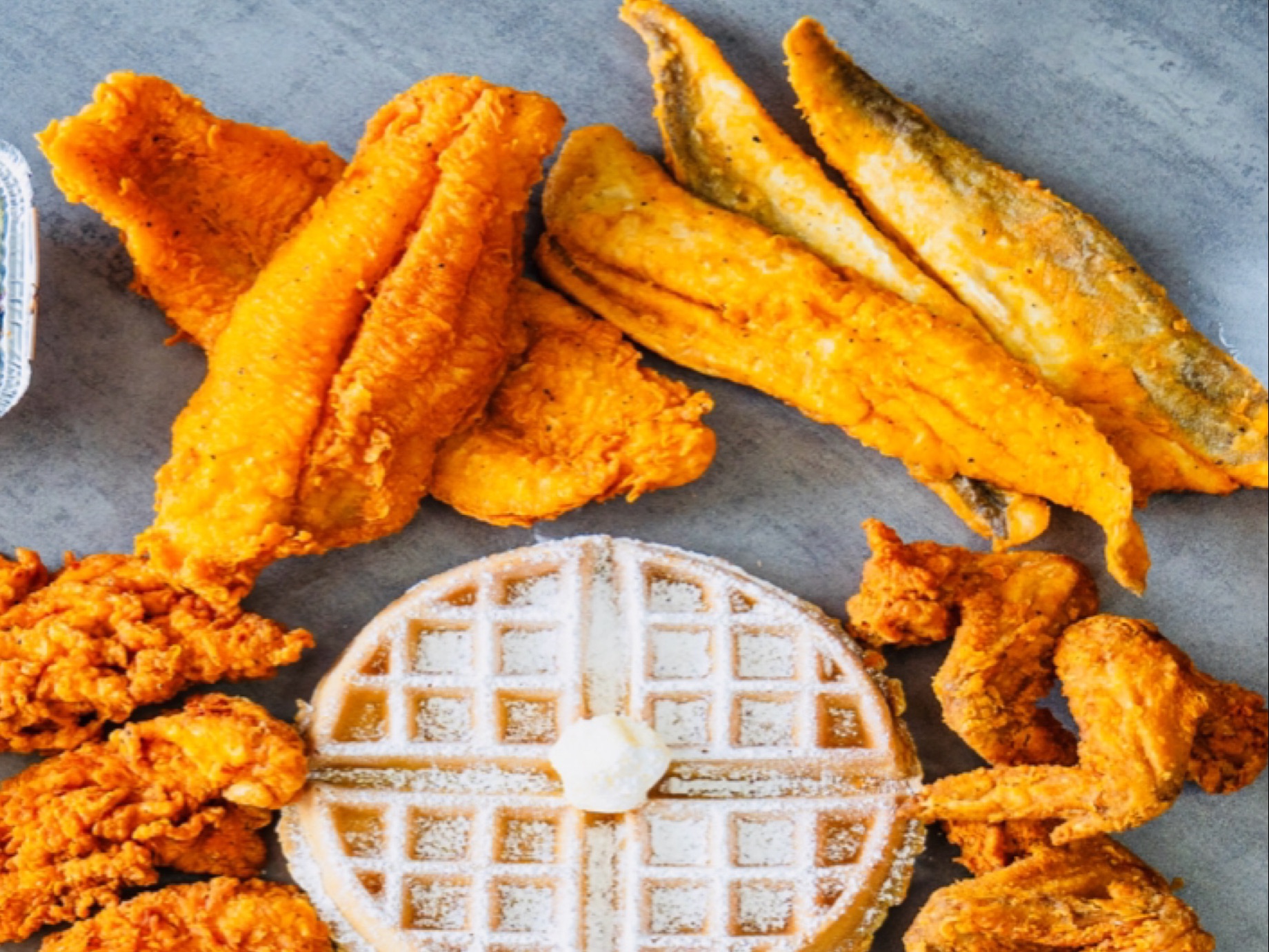 3 Catfish & 1 Waffle