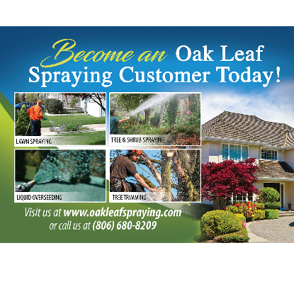 Oak Leaf Spraying Logo