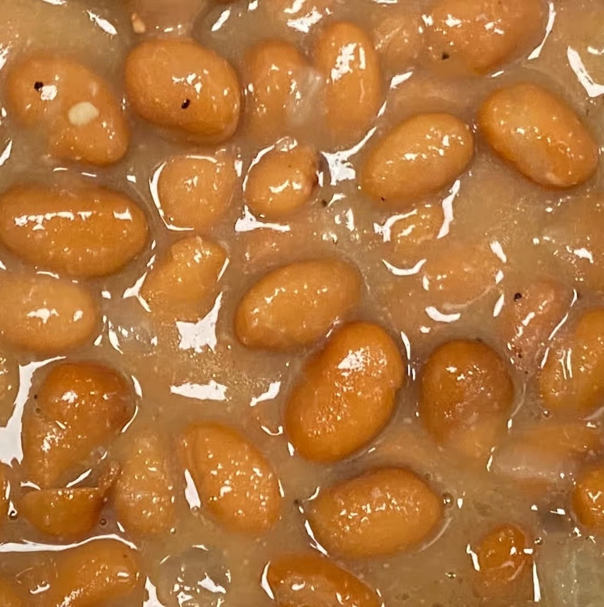 Pinto Beans