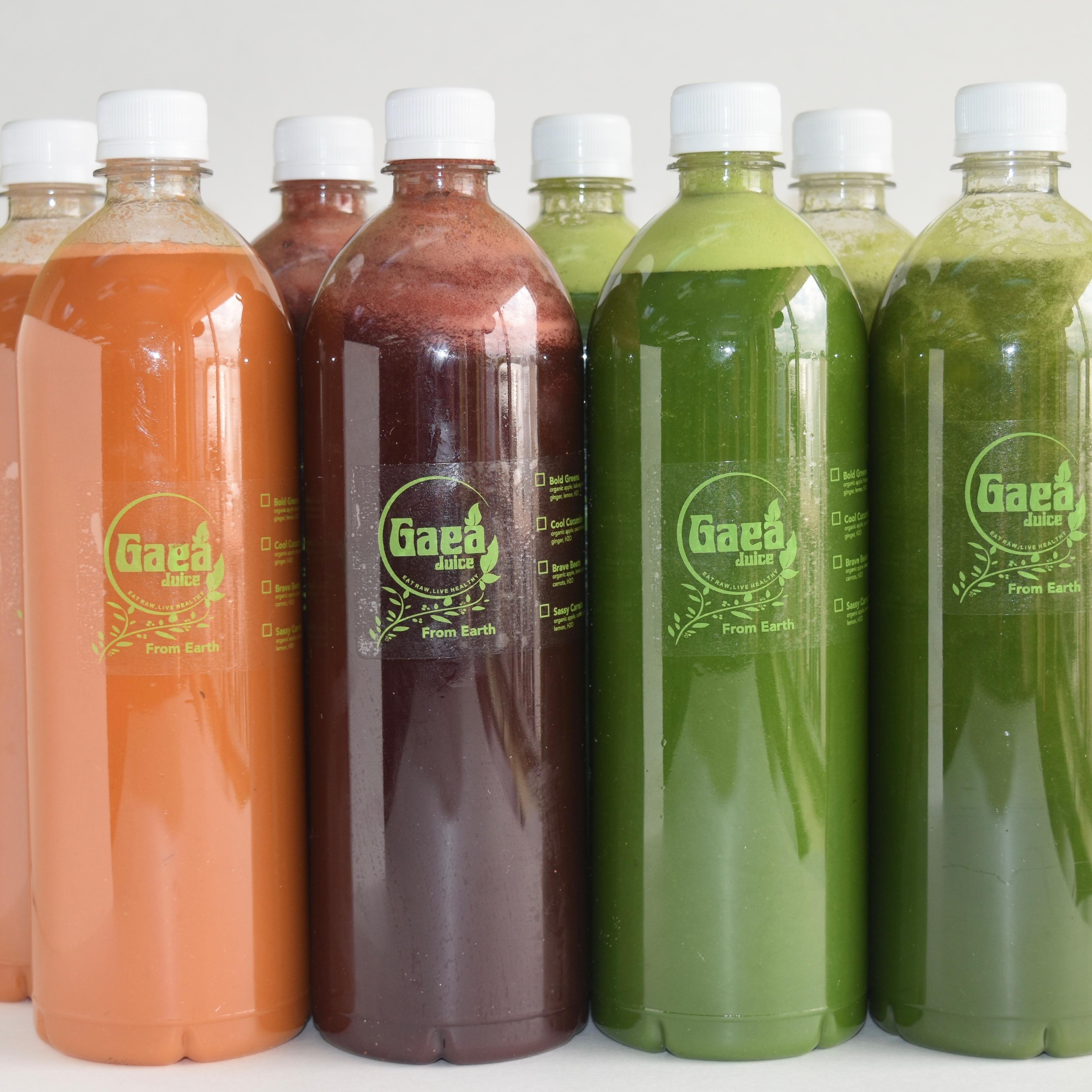 Gaea Nutrition &amp; Wellness | Gaea Juice, LLC Logo