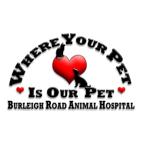 Burleigh Road Animal Hospital