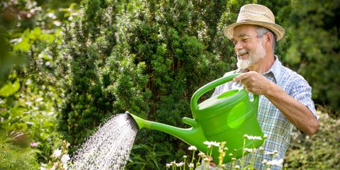 How To Use Weed Killer Responsibly