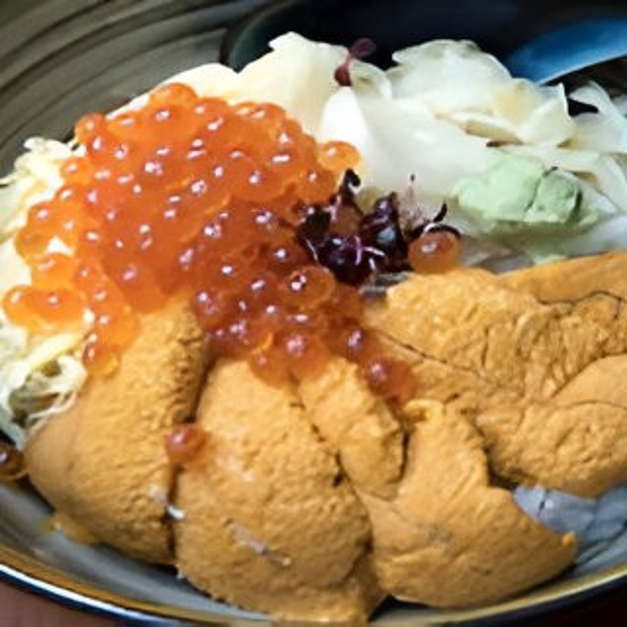 Uni Don (Sea Urchin Bowl)