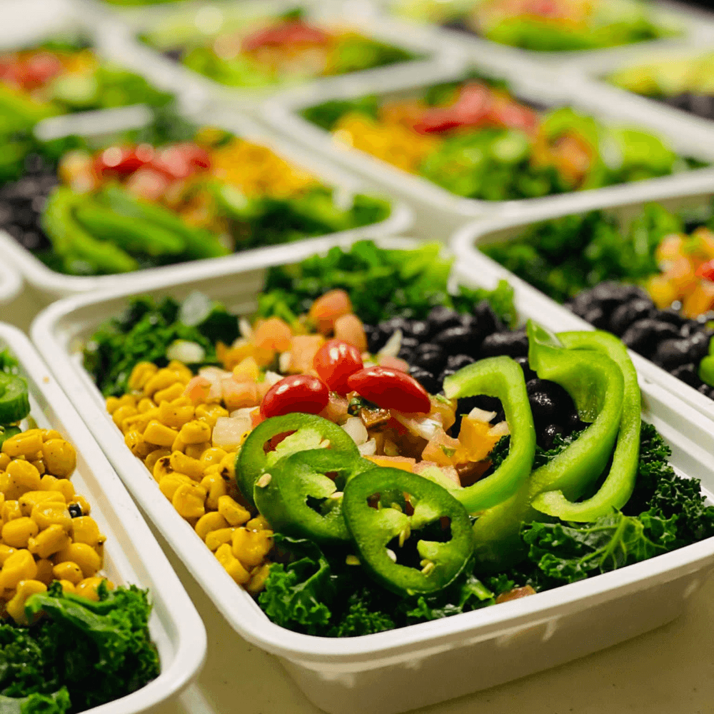 20 Day Meal Plans