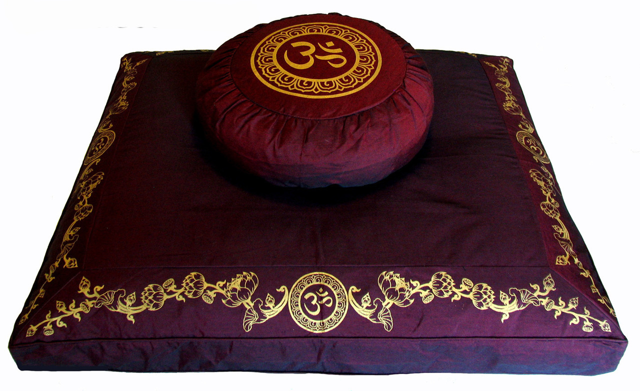 Himalayan Vision Inc Logo